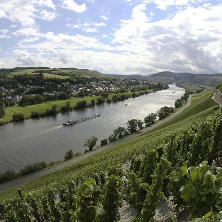 布劳讷贝格Weingut Fehres公寓 外观 照片